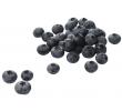 Vers&zo Bosbessen, bak 500 gr