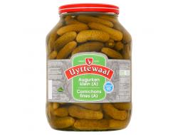 Augurken A, pot 2,65 ltr
