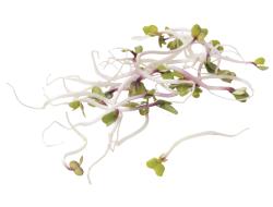 China rose, doosje 100 gr