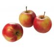 Vers&zo Pink Lady appels, slof 6 stuks