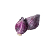 Vers&Zo Spitskool paars, zak 500 gr