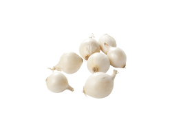 Verse zilveruien, zak 500 gr