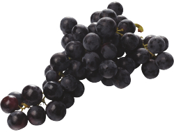 Blauwe druiven, kist 4,5 kg