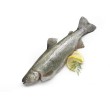 Schmidt Zalmforel, stuk 2,5 kg