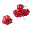 Vers&zo Madame Jeanet pepers rood, zak 250 gr