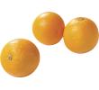 Vers&zo Bloedsinaasappels biologisch, kist 10 kg