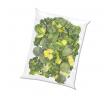 Acai Benelux Biologische green mix 120 gr per sachet, doos 22 sachets
