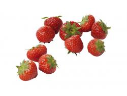 Aardbeien elsanta middel, doosje 400 gr