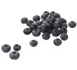 Vers&zo Biologische blauwe bessen, doos 125 gr
