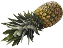 Grote ananas maat 6, per stuk