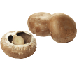 Vers&zo Champignons portobello, zak 500 gr
