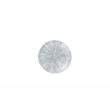 Churchill Bord Stone Pearl Grey Evolve Coupe ø16.5cm , doos 12 stuks