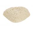 Apetito Rijst (glad gemalen), doos 1,44 kg