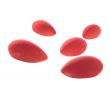 Didess Quenelle rood fruit maxi 12 gram per stuk, doos 30 stuks